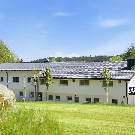 Schwarzwald Ledi-2