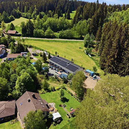 Schwarzwald Ledi-3